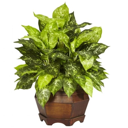 Dare2Decor Variegated Dieffenbachia with Large Hexagon Silk Plant DA416983